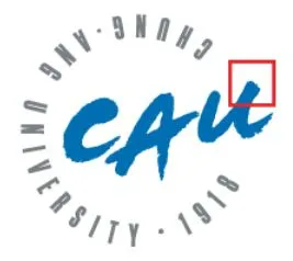Chung Ang University